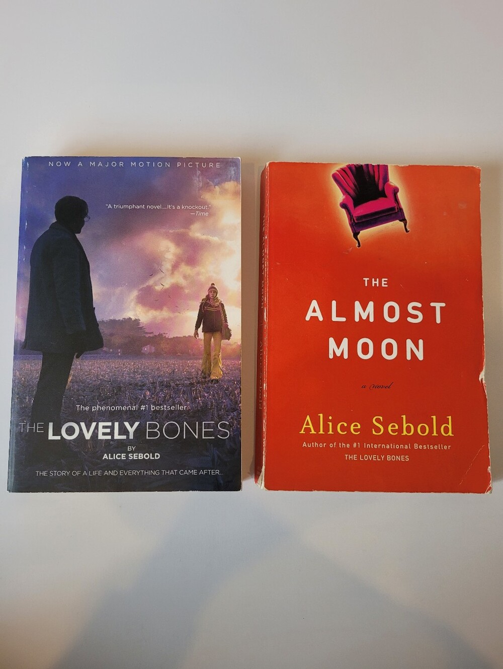 Alice Sebold 2-Book Bundle: The Lovely Bones + The Almost Moon